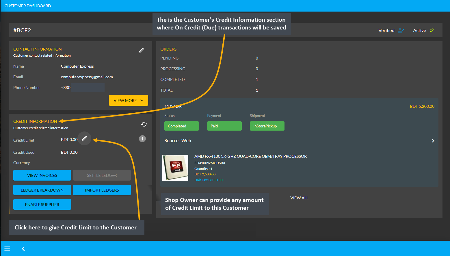 customer dashboard ledger section