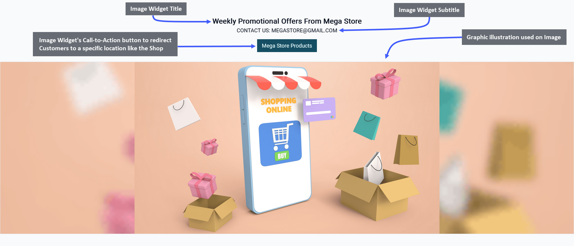 image widget, Image Widget Title, Image Widget Subtitle, Image Widget’s Call-to-Action button to redirect Customers to a specific location like the Shop’s Products, Graphic illustration used on Image Widget.